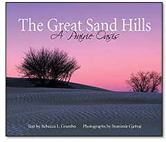 book cover: The Great Sand Hiils