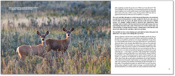 double page spread from the book The Great Sand Hills: A Prairie Oasis