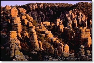 Rock garden, Echo Canyon Loop