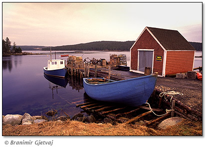 Image of fishing boats in Shad Bay, Nova Scotia