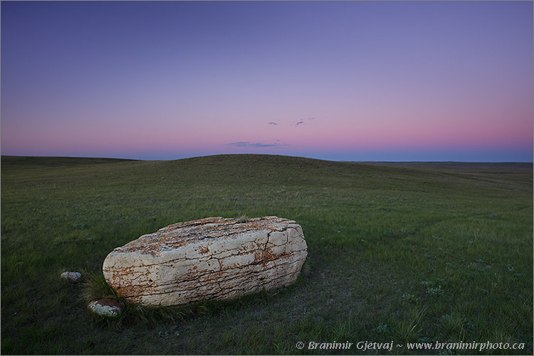 Bison rubbing stone, Old Man on His Back Prairie and Heritage Conservation Area - Nature Conservancy of Canada property, Claydon, Saskatchewan, Canada