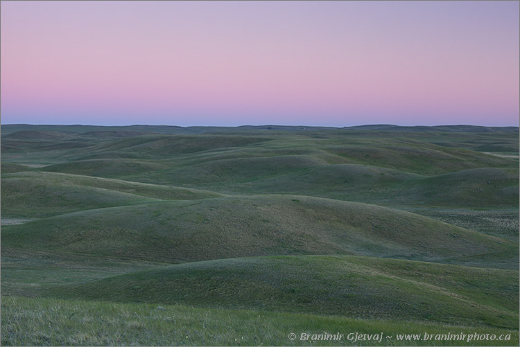 Rolling prairie hills at Old Man on His Back Prairie and Heritage Conservation Area - Nature Conservancy of Canada property, Claydon, Saskatchewan, Canada