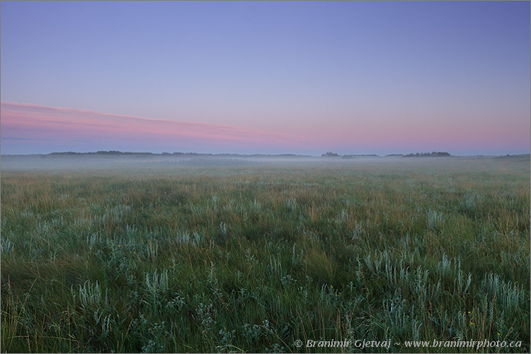 Misty sunrise at Big Valley - Nature Conservancy of Canada property, Craven, Saskatchewan, Canada