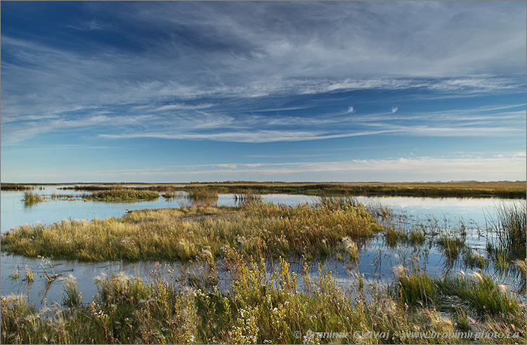 Wetland at Friesen - Nature Conservancy of Canada property, Quill Lake, Saskatchewan, Canada