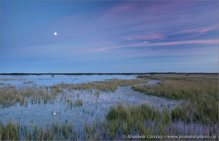 Wetland at Friesen - Nature Conservancy of Canada property, Quill Lake, Saskatchewan, Canada