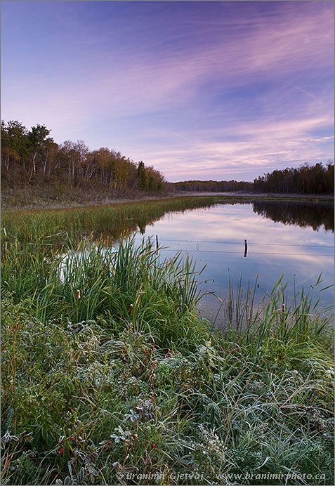 Sunrise over pond at Ursulan - Nature Conservancy of Canada property, Punnichy, Saskatchewan, Canada