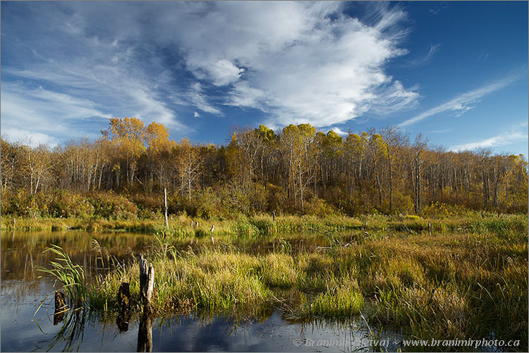 Autumn colours arrived to marsh at Elizabeth Hubbard - Nature Conservancy of Canada property, Esterhazy, Saskatchewan, Canada