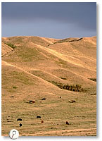 Cypress Hills foothills, Saskatchewan