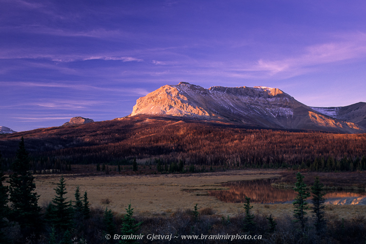 Sofa Mountain at sunrise, Waterton Lakes National Park, Alberta