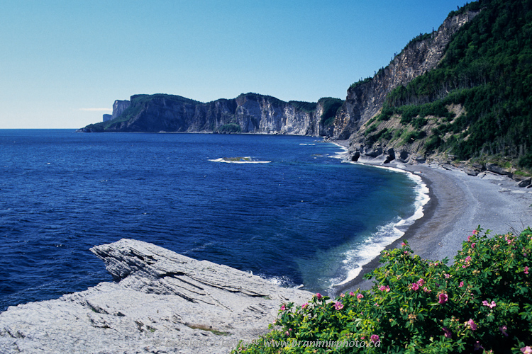 Cliffs at Cap Bon Ami, Gaspe Peninsula, Forillon National Park, Quebec