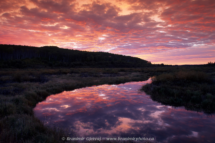 Colourful clouds reflect in Spruce River at sunrise, Prince Albert National Park, Saskatchewan