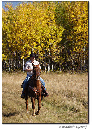 Gord Vaadeland riding through Prince Albert National Park, aspen forest in fall colours