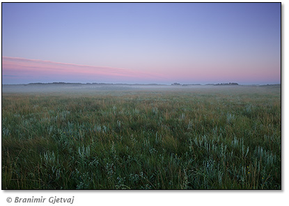 Image of Big Valley - Nature Conservancy of Canada property, Craven, Saskatchewan, Canada