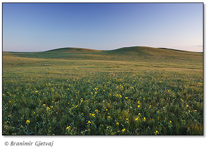 Image of Old Man on His Back - NCC property, Saskatchewan