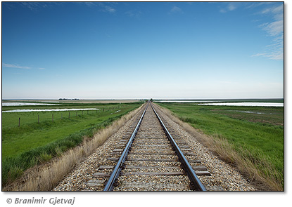 Image of train tracks, Great Sand Hills, Leader