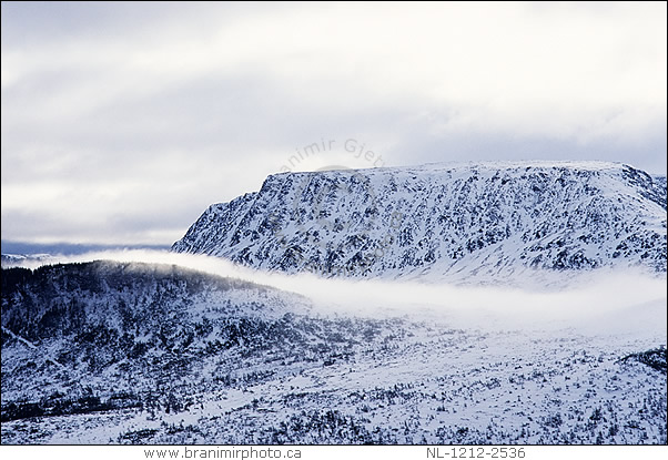 Tablelands, Gros Morne National Park