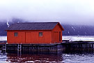 Red fishing shack in fog, Norris Point,  Newfoundland