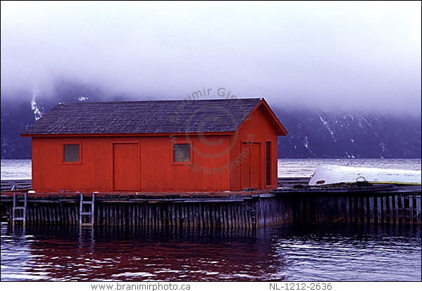 Red fishing shack in fog, Norris Point