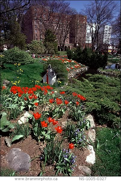 Flower bed in a park, Halifax