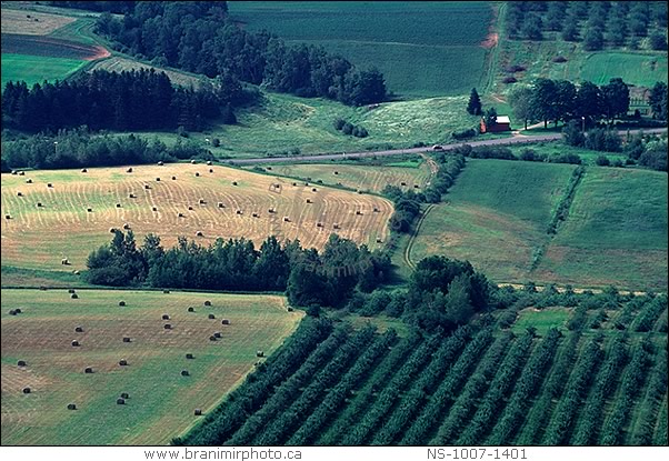 Aerial view of fields and orchard