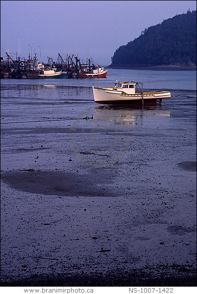 Fishing boats at low tide,