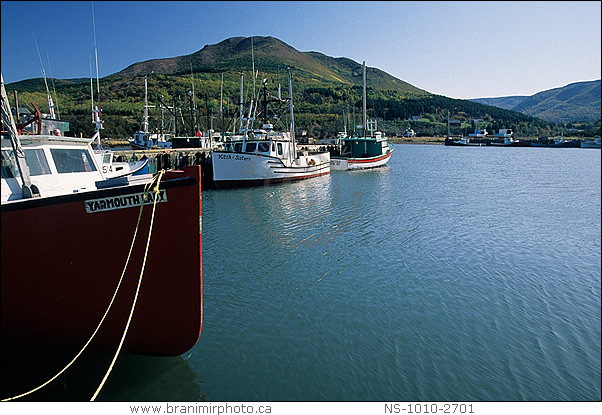 Fishing boats in harbour, Pleasant Bay, Cape Breton Island 