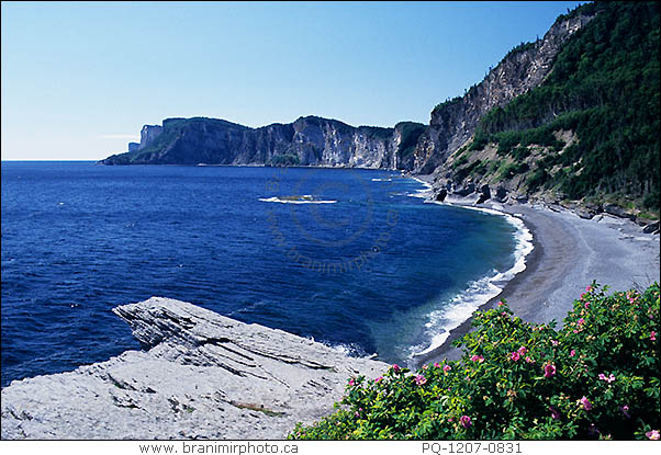 cliffs and beach at Cap Bon Ami, Forillon National Park