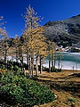 autumn scenic, Rowe Lake, Waterton Lakes National Park