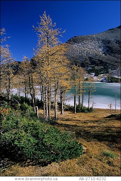 autumn scenic, Rowe Lake, Waterton Lakes National Park