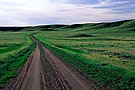 ecotour road, Grasslands National Park, West Block