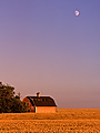 barn in a field of wheat with moonrise, Arelee