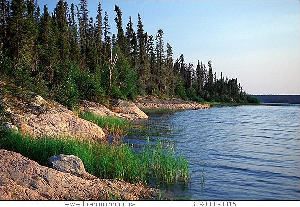 Evergreen trees by lake, Prince Albert Natl. Park