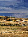 Prairie and aspens in Fall, Cypress Hills, Saskatchewan