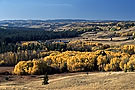 Fort Walsh National Historic Park, Saskatchewan