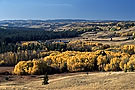 Images of Cypress Hills, Saskatchewan