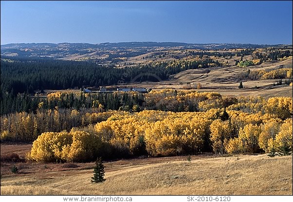 Fort Walsh in Cypress Hills, fall colours