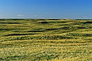 Prairie landscape, Great Sand Hills, Saskatchewan