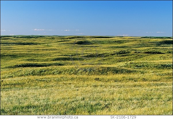 Prairie landscape with rolling hills at sunset, Great Sand Hills, Saskatchewan