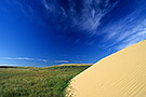 Prairie landscape with sand dunes, Great Sand Hills, Saskatchewan