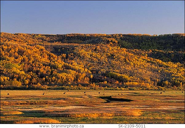 Autumn colours in Qu'Appelle Valley, Saskatchewan