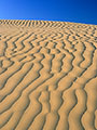 pattern in sand dunes, Great Sand Hills