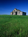 Abandoned farmhouse, Great Sand Hills, Saskatchewan