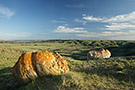 glacial erratics, Grasslands NP, Saskatchewan