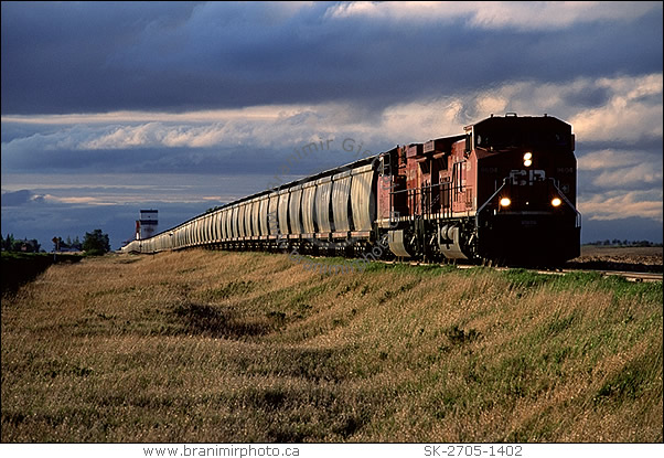 Freight train transportin grain, Saskatchewan