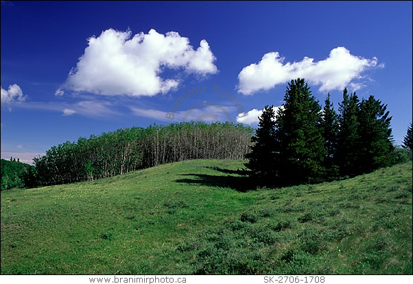 Cypress Hills Interprovincial Park