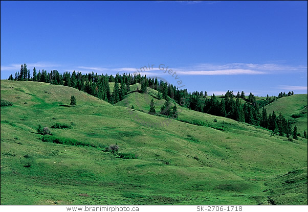 Cypress Hills Interprovincial Park, Saskatchewan