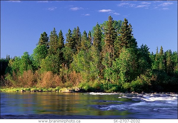 River rapids in forest, Churchill River