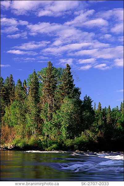 River rapids in forest, Churchill River