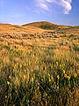 Saskatchewan Landing Provincial Park