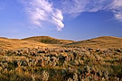 Saskatchewan Landing Provincial Park